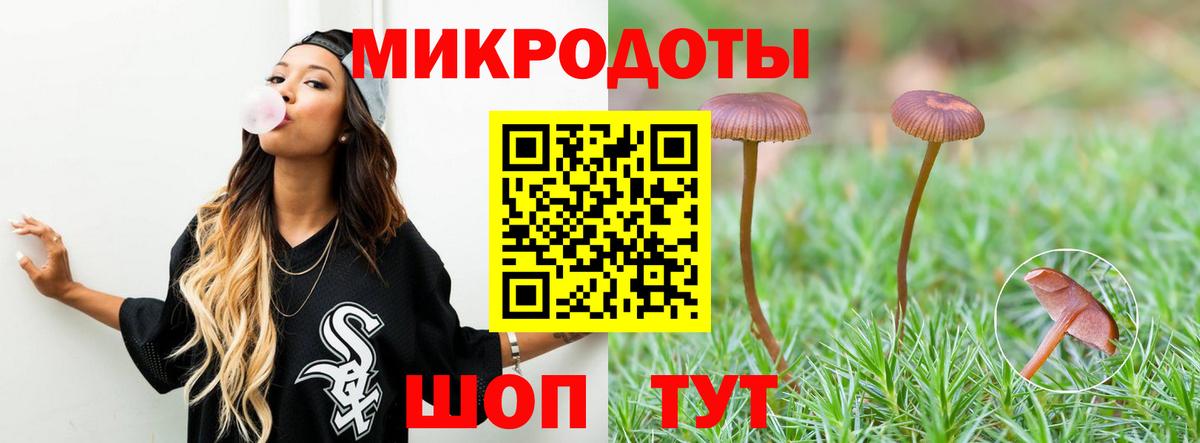 Галлюциногенные грибы Cubensis Мичуринск