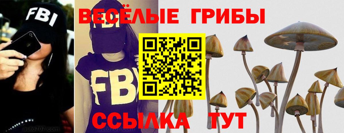 Мичуринск  Галлюциногенные грибы GOLDEN TEACHER  Вход с VPN 